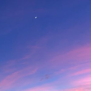 Meet your Posher, Gabby